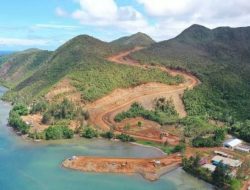 Demi Menjaga Ekosistem, DPP KNPI Dukung Penghentian Sementara Tambang Raja Ampat