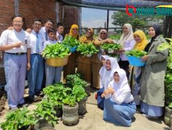 Kolaborasi Inklusif Unira Malang Dan Dinas Pertanian, Dorong Kemandirian Siswa SLB BC Melalui Pertanian