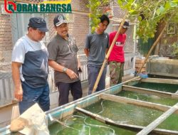 Ketua Fraksi PKB Kunjungi Kelompok Tani dan Peternak Binaannya di Singosari