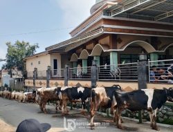 Semangat Integritas Sosial Warnai Pelaksanaan Idul Adha 1447 H di Dusun Selebrojo