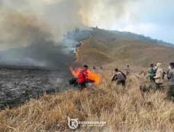 Kebakaran Hutan di Gunung Bromo Capai 70 Hektare, Akses Wisata Ditutup Sementara