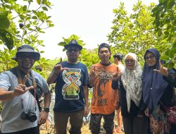 PRB-RisDe UNIRA Malang dan Mitra Tanam Mangrove di Kondang Merak, Perkuat Strategi Pengurangan Risiko Bencana Pesisir